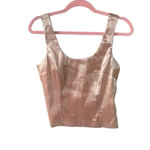 Shimmer Champagne Dressy Top NWT